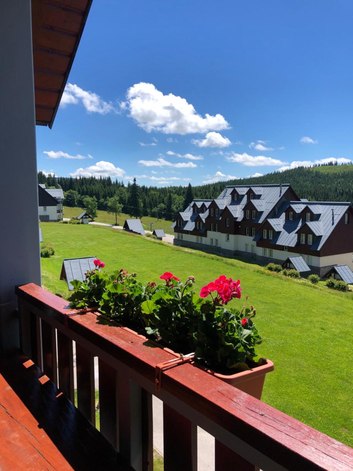 Apartman Horni Misecky F11 - Horsky Svet Buitenkant foto